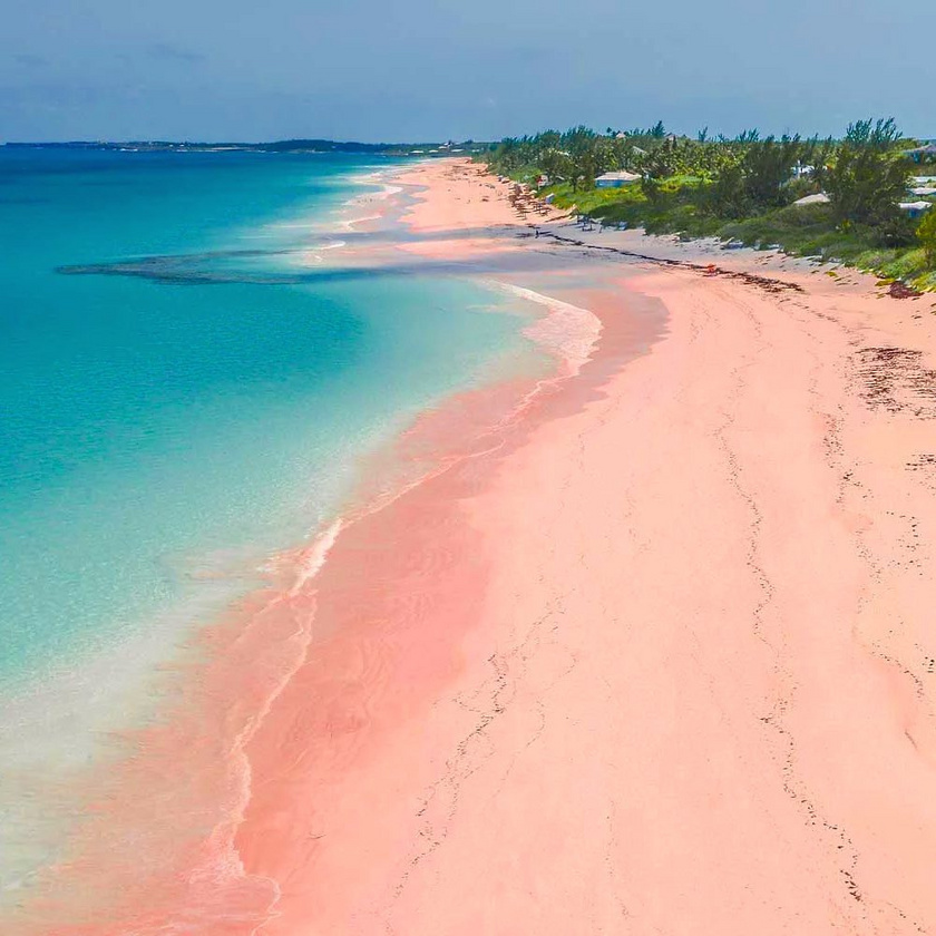 A Bahamákon található Pink Sand Beachen varázslatos, rózsaszín partot mos az óceán öt kilométer hosszan. Mesebeli árnyalatát a az egysejtű foraminiferák adják, amiket színes héj borít. Ezek a homokkal keveredve alkotják a rózsaszín tengerpartot.