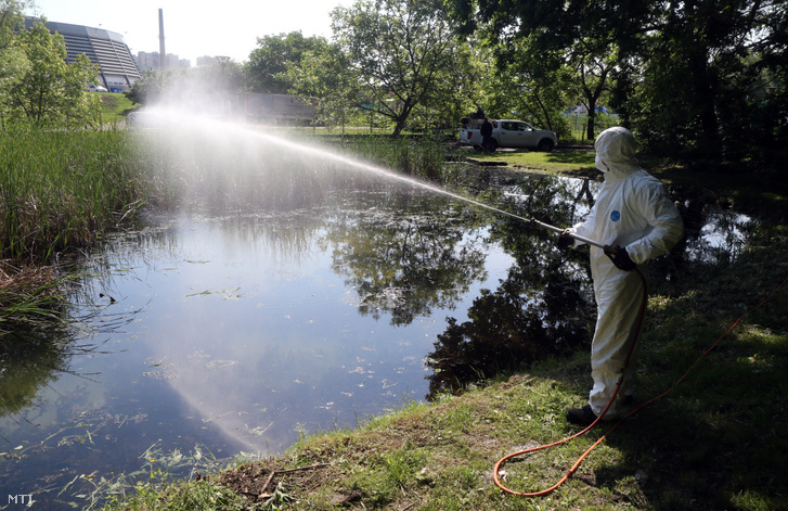 Szúnyogirtás az egyetemvárosi tónál Miskolcon 2019. május 25-én. A védekezés során olyan környezetbarát készítmény kerül a környezetbe amely kizárólag a szúnyoglárvákat pusztítja el más élőlényekre és a környezetre ártalmatlan.
