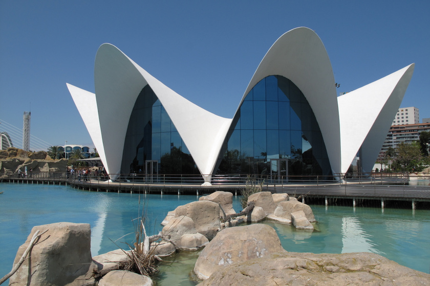 A L'Oceanogràfic Valencia egészen futurisztikus, tudományos és kulturális épületeket felvonultató városrészében, a Művészetek Városában található. A látogatók nemcsak a több mint ötszáz tengeri élőlény (köztük cápák és delfinek) miatt keresik fel az oceanáriumot, hanem az olyan lenyűgöző építészeti megoldásai miatt is, mint amilyen például a 35 méter hosszú, víz alatti folyosója.