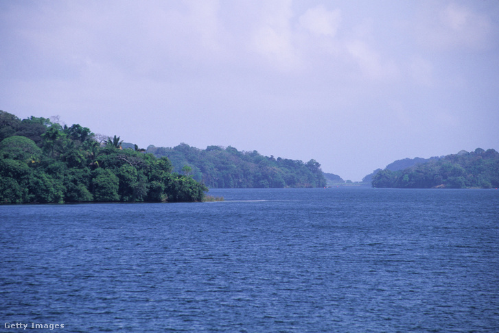 Esőerdők látképe a Gatun-tó szélén