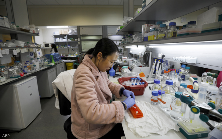 Kínai tudós a koronavírus elleni oltás elkészítésén dolgozik egy kutatóintézet laboratóriumában 2020. március 1-jén.