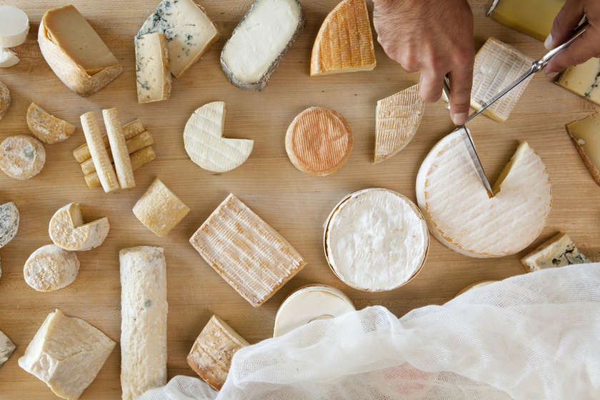 A sajtok zsírtartalma igen széles skálán mozog: míg egy camembert vagy cheddar sajt 30 gramm felett van, addig például a ricotta csak 13 gramm zsírt tartalmaz 100 grammonként, ami kalóriában nem mindegy, hogy 170 vagy 300.