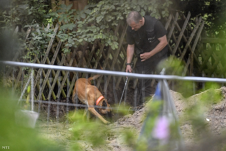 Német rendőr keresőkutyával kutat át egy kertet, amely kapcsolatban lehet a Portugáliában 2007-ben eltűnt brit kislány Madeleine McCann ügyével a Hannover közelében lévő Seelzében 2020. július 29-én.