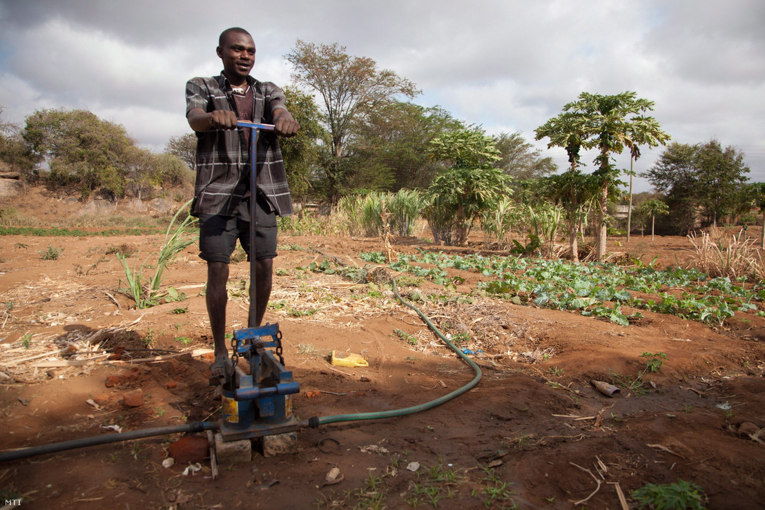 Egy lábbal hajtott szivattyúval öntözi földjeit egy földműves a kenyai Mwingi régióban