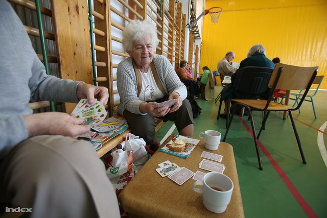 Nyugdíjasok kártyáznak az Aquincumi Iskola tornatermében kialakított befogadóhelyen