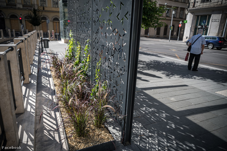 118418648 3253724978043473 1141636833887072806 o