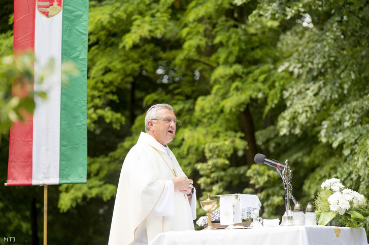 Veres András győri megyés püspök, a Magyar Katolikus Püspöki Konferencia elnöke ünnepi szabadtéri szentmisét mutat be a szigetközi búcsújáróhelyen, a máriakálnoki Sarlós Boldogasszony-kápolnánál 2020. június 7-én.
