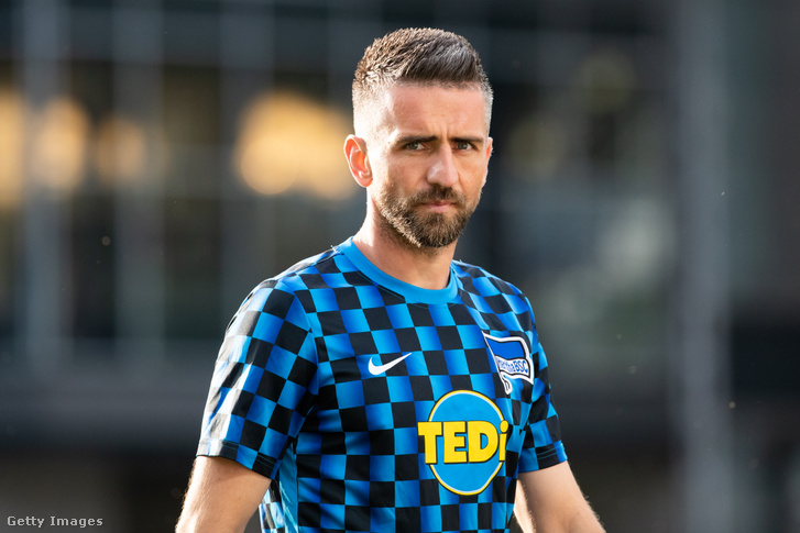 Vedad Ibisevic