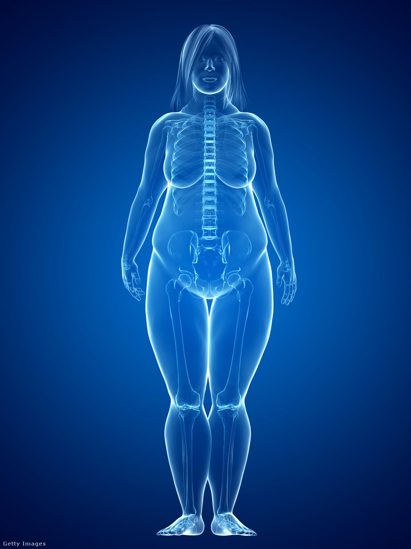 Daganat és fogyás: miért fontos a testsúly megtartása daganatos betegségekben?