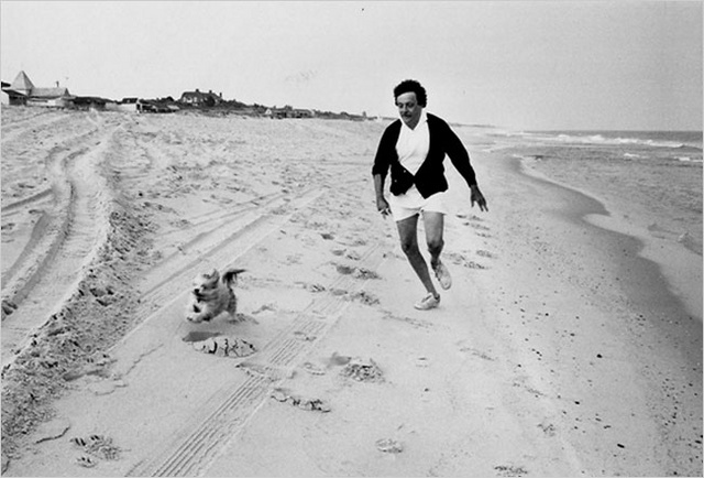 Kurt Vonnegut és kutyusa, Pumpkin