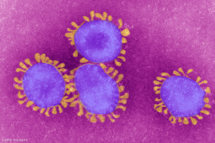 A Covid-19 koronavírus mikroszkopikus képe