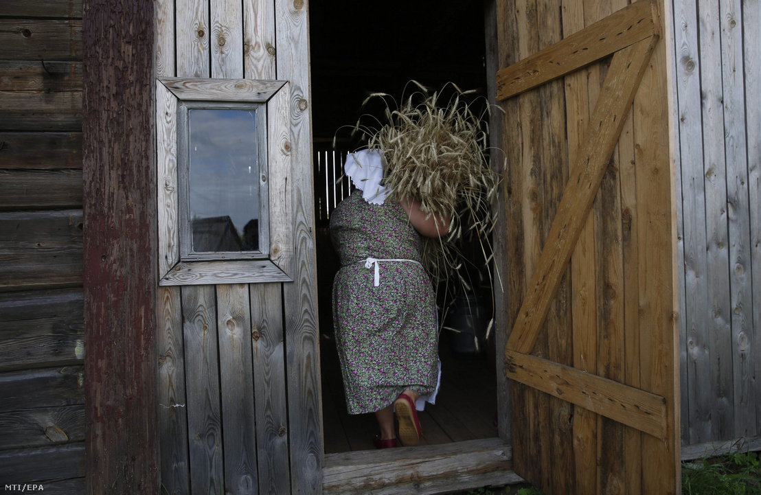 Fehérorosz asszony learatott gabonakévét visz be egy gazdasági épületbe a Minszktől 170 kilométerre fekvő Zoravka faluban