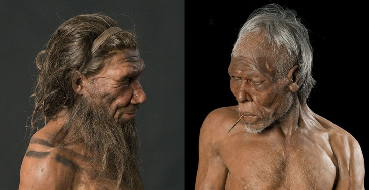 Sapiens Neanderthalensis és Sapiens Sapiens / forrás: National History Museum, London