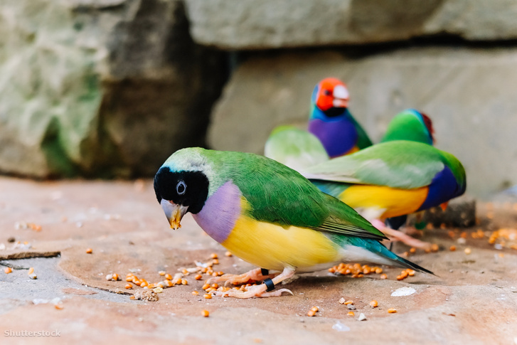 shutterstock 1670824930