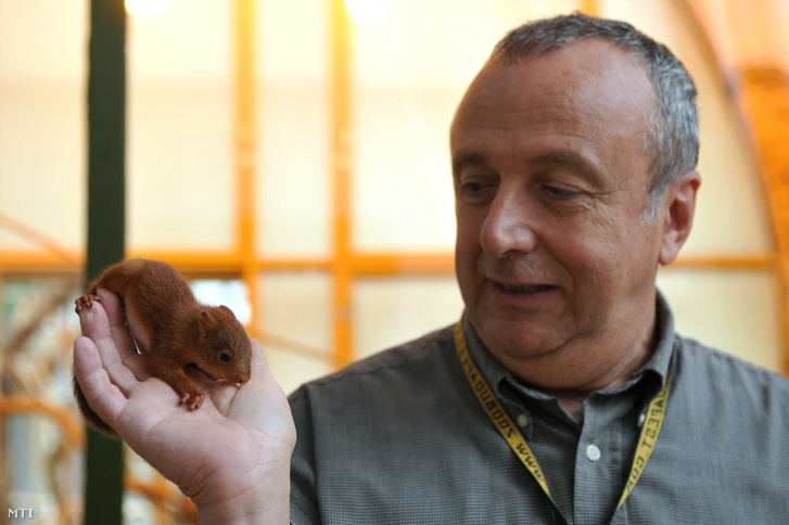 Persányi Miklós főigazgató egy mentett mókuskölyköt tart a kezében a Fővárosi Állat- és Növénykert Ausztrálházában 2011-ben