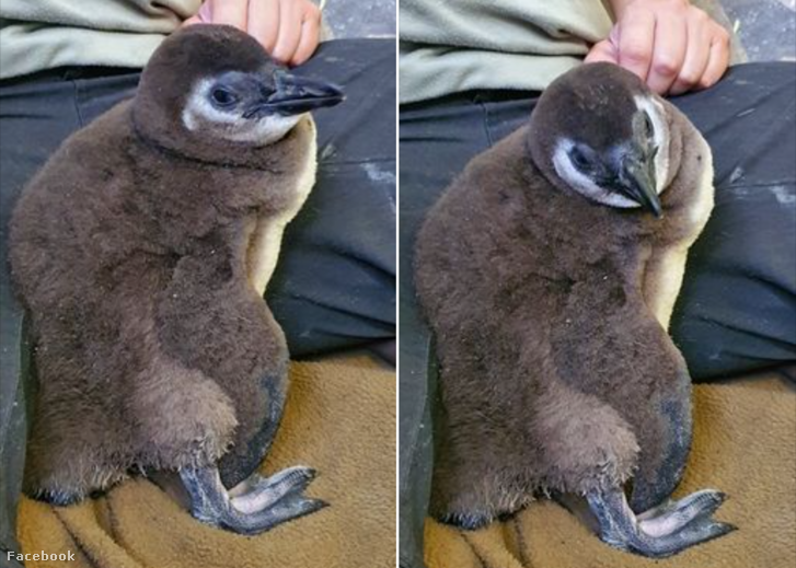 2020-10-06 10 37 50-Window.png