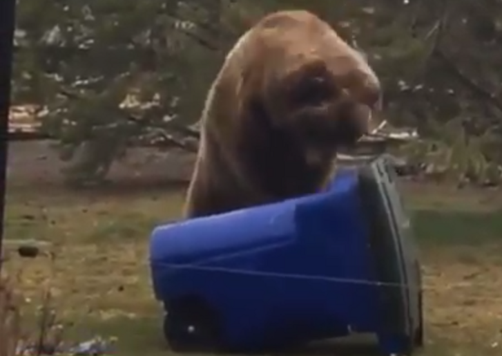 Screenshot 2020-10-13 at 16.30.37.png