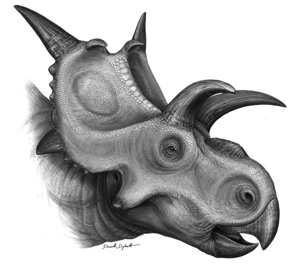 Így nézhetett ki a Xenoceratops