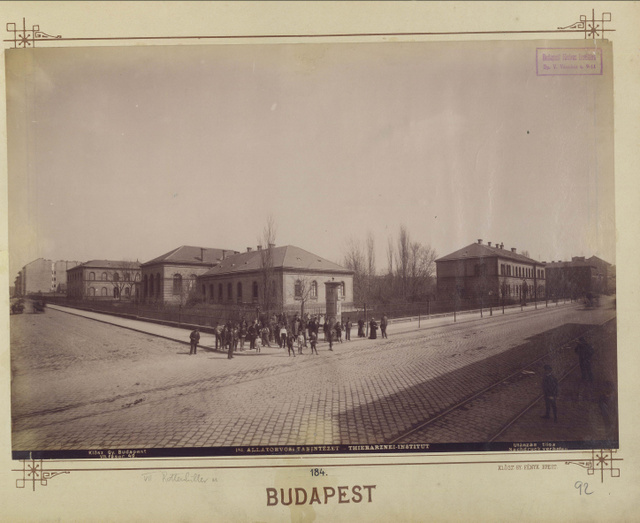 A fakockákkal burkolt Rottenbiller utca (1900)