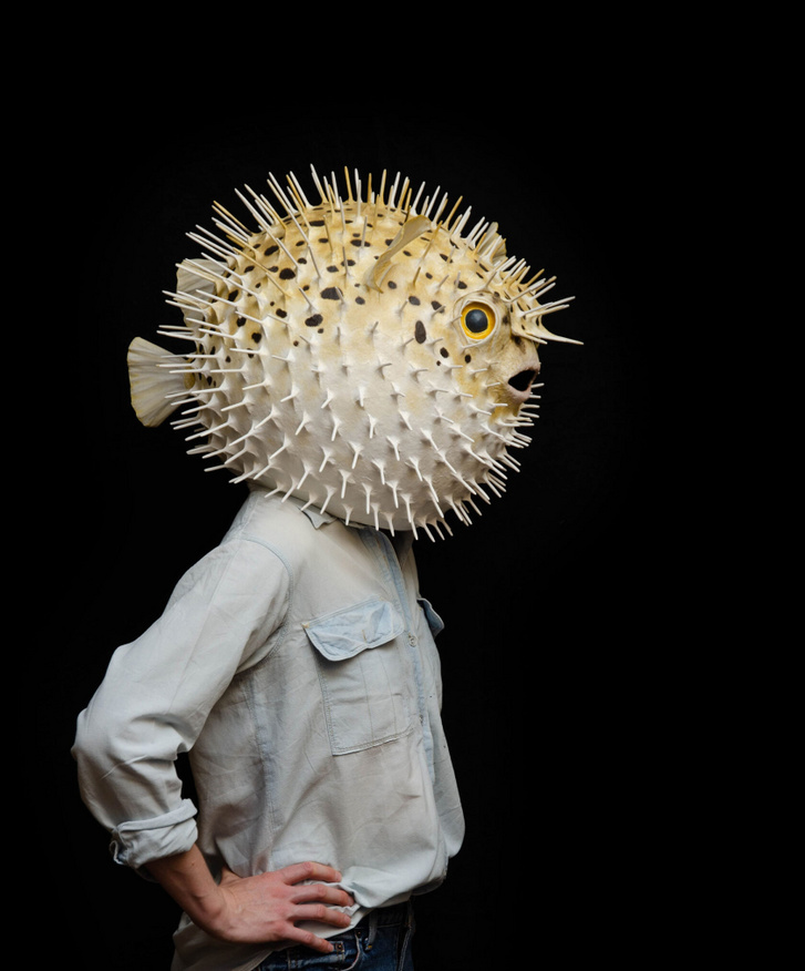 Porcupinefish, Liz Sexton, 2020