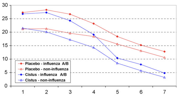 Cistus-kivonattal kezelt és placebócsoport összehasonlítása klinikai vizsgálatban - influenza A/B, valamint nem influenza jellegű vírusos fertőzésre. A tesztalanyok a tüneteket pontozták (függőleges tengely). Hétnapos követés során a kutatók számára látható volt a növényi hatóanyagokkal elérhető szignifikáns hatás