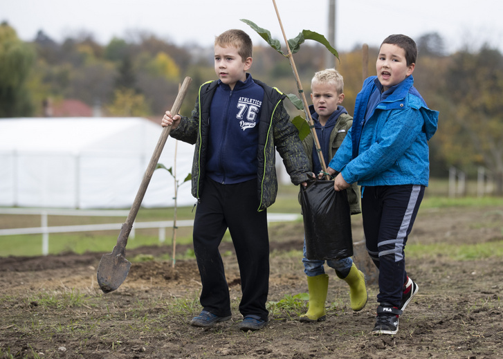 A helyi gyerekek is örömmel segítettek fát ültetniFotó: Czerkl Gábor / Index