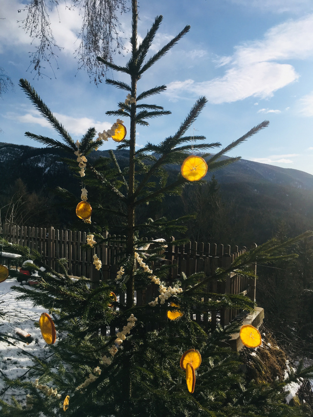 A zero waste karácsonyfa is gyönyörű