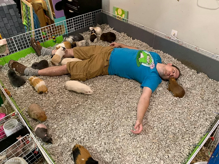 tk3s swns rescue animals 010