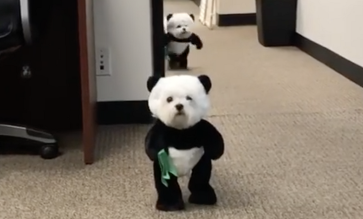 Képernyőfotó 2020-11-11 - 13.48.32.png