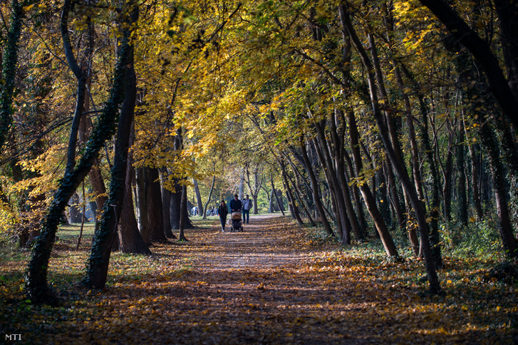 Képünk illusztráció!