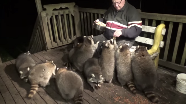 Képernyőfotó 2020-11-18 - 9.34.33.png