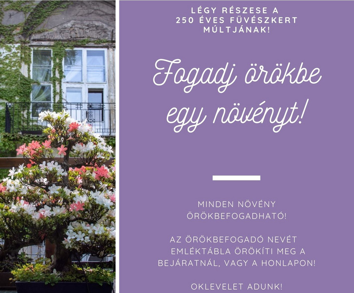 Fogadj-Orokbe-egy-Novenytlila