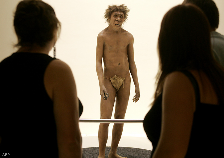 Az Eyzies-de-tayac-i Őstörténeti Múzeum látogatói egy neandervölgyi ősember rekonstrukcióját nézik 2004-ben
