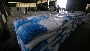 Azt hitték, találtak 1 milliárd dollárnyi drogot – aztán rájöttek, hogy mégsem