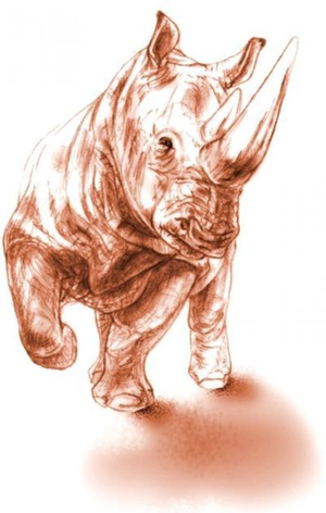 Így nézhetett ki a kétszarvú rinocérosz