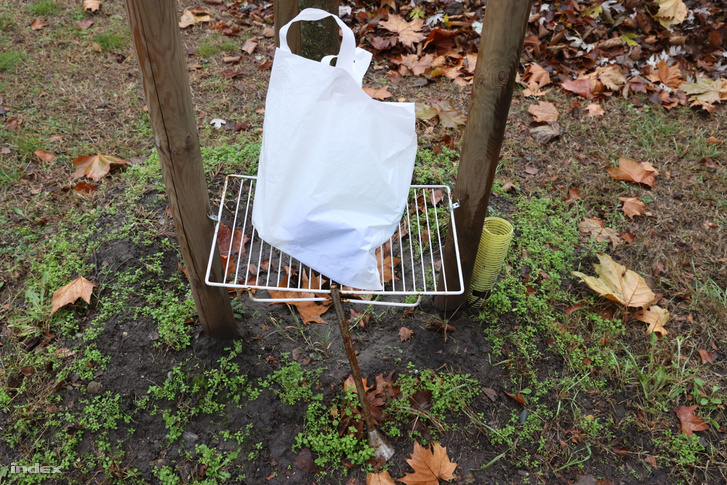 20201210124144 FERI7156