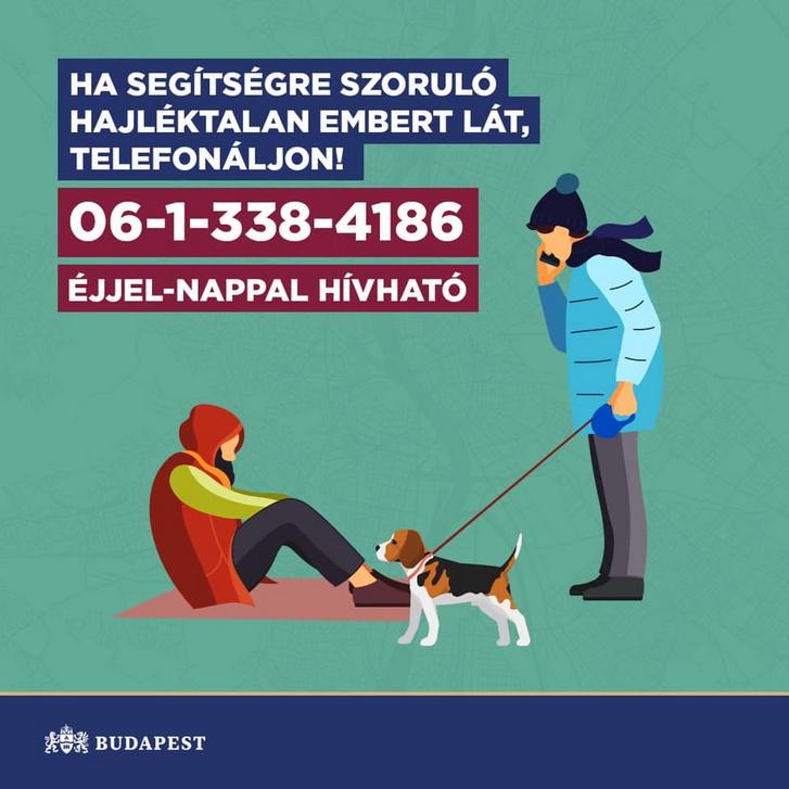 133425058 3893906707308813 5697226160531466070 n