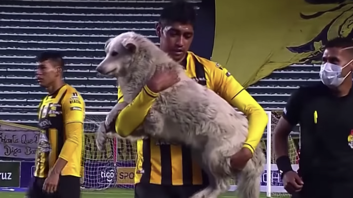 Képernyőfotó 2021-01-01 - 9.43.22.png