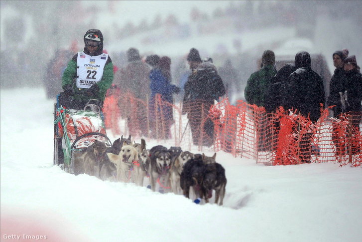 Kelly Maixner (Big Lake AK) a 2020-as Iditarod kutyaszánversenyen.