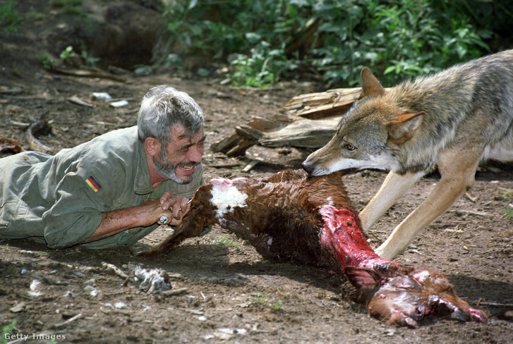 Werner Freund farkasszakértő (1994) Számtalan farkasokat védő kezdeményezés fűződik nevéhez.