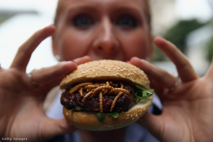 Hamburger lisztkukaccal Londonban, 2013 augusztusában