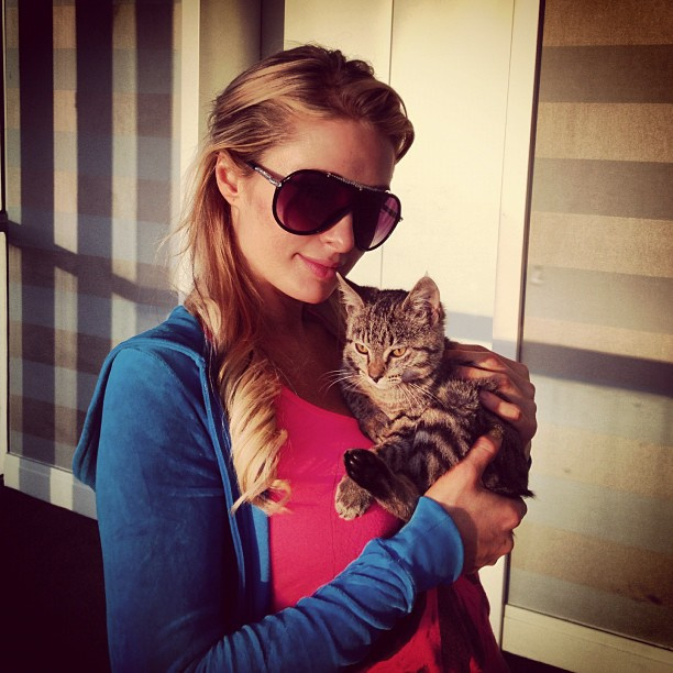 Paris Hilton és A macska