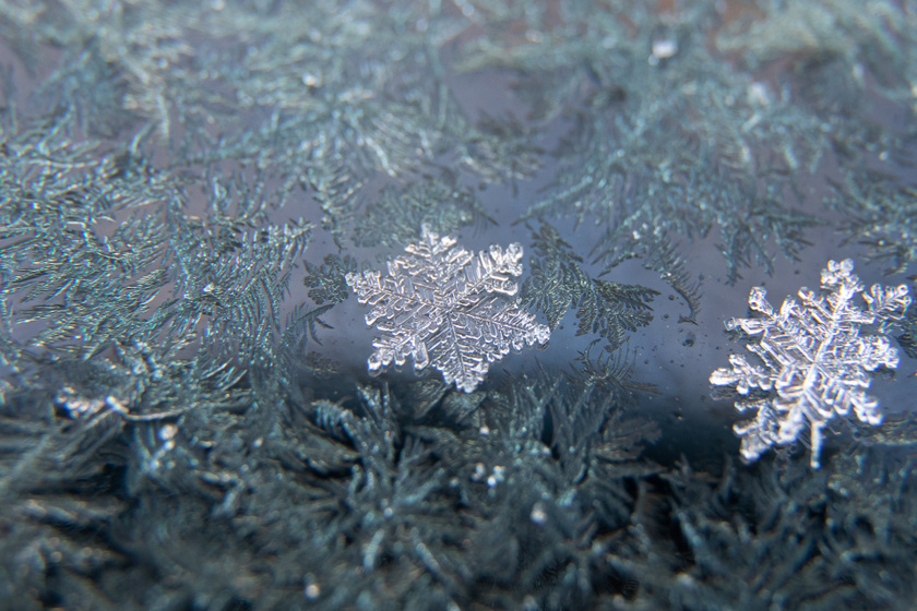 A Pest megyei Pócsmegyeren ilyen gyönyörű jégkristályok keletkeztek egy autó szélvédőjén.