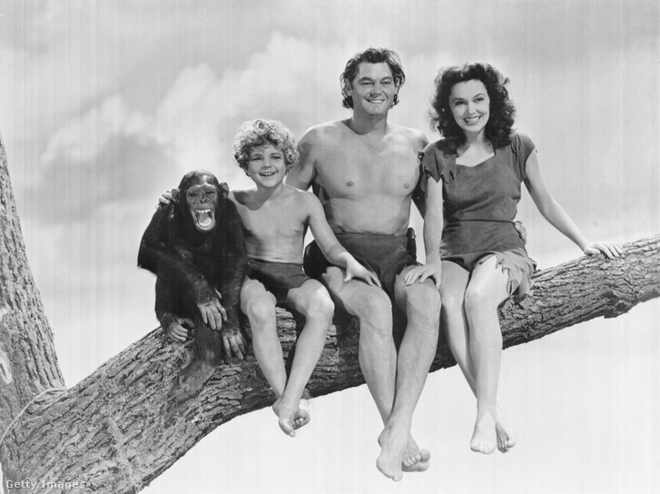 A Tarzan-filmek napjainkban szigorú megrovást kapnának Csitával, a majommal való haverkodás miatt