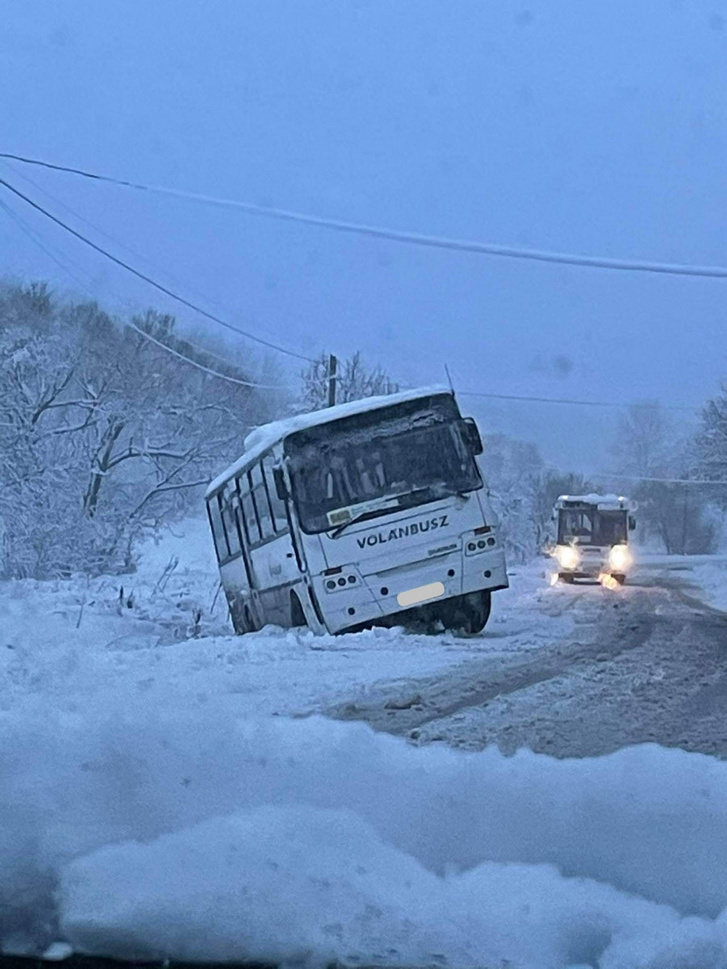 szabea93-1424088011170443469658385448706232777230783n.jpg-2021-0
