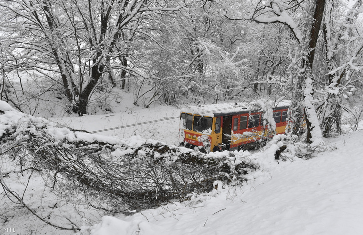 Kidőlt fa akadályozza a vasúti közlekedést Szilvásvárad közelében 2021. január 25-én