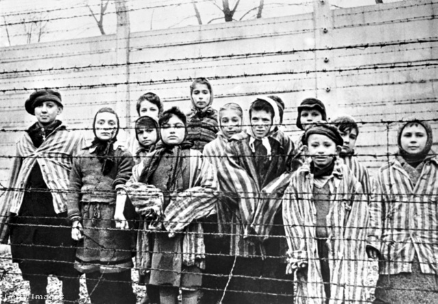 Gyerekek Auschwitz szögesdrótjai mögött