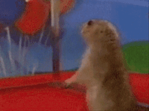 aaa.gif