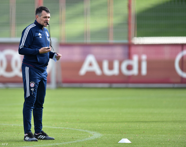 Willy Sagnol