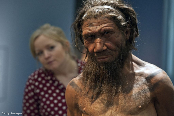 Húszéves Neander-völgyi reprodukciója (elöl) a londoni Természettudományi Múzeumban